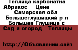 Теплица карбонатна “Абрикос“ › Цена ­ 17 000 - Самарская обл., Большеглушицкий р-н, Большая Глушица с. Сад и огород » Теплицы   